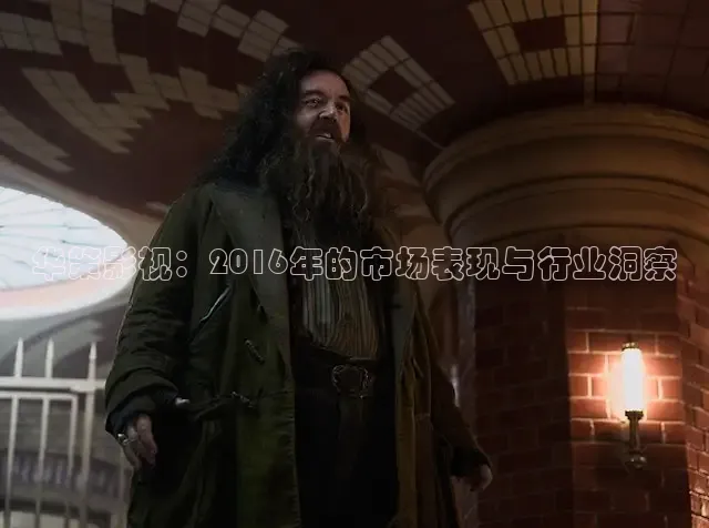 华策影视：2016年的市场表现与行业洞察
